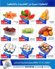 صفحة 4