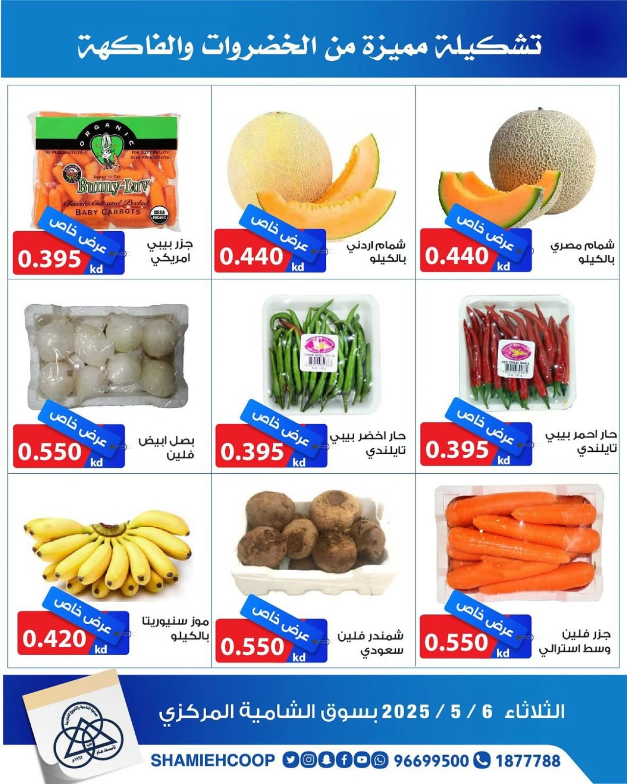 صفحة 3