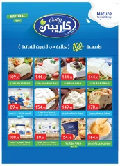 صفحة 6