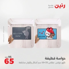 صفحة 17