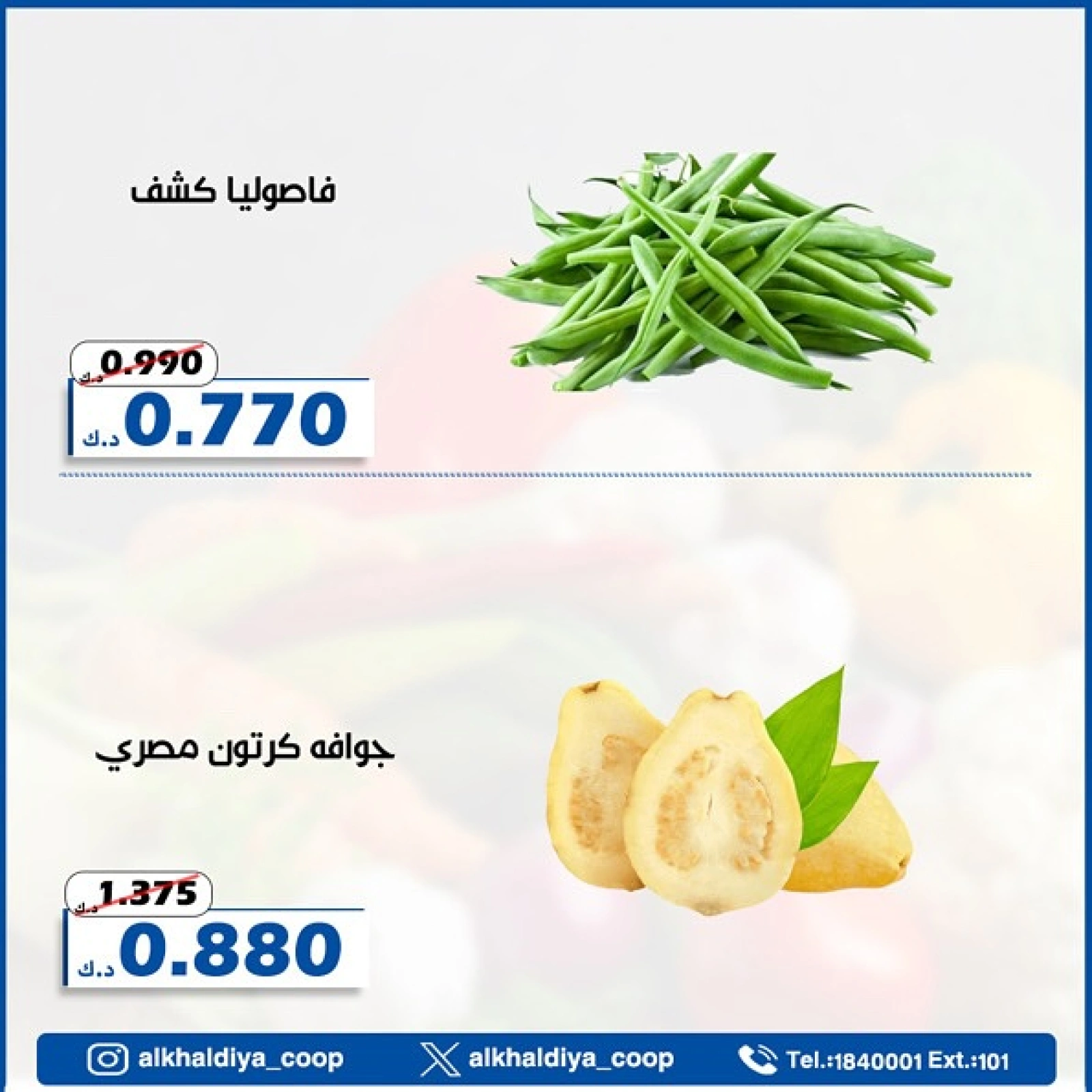 صفحة 12