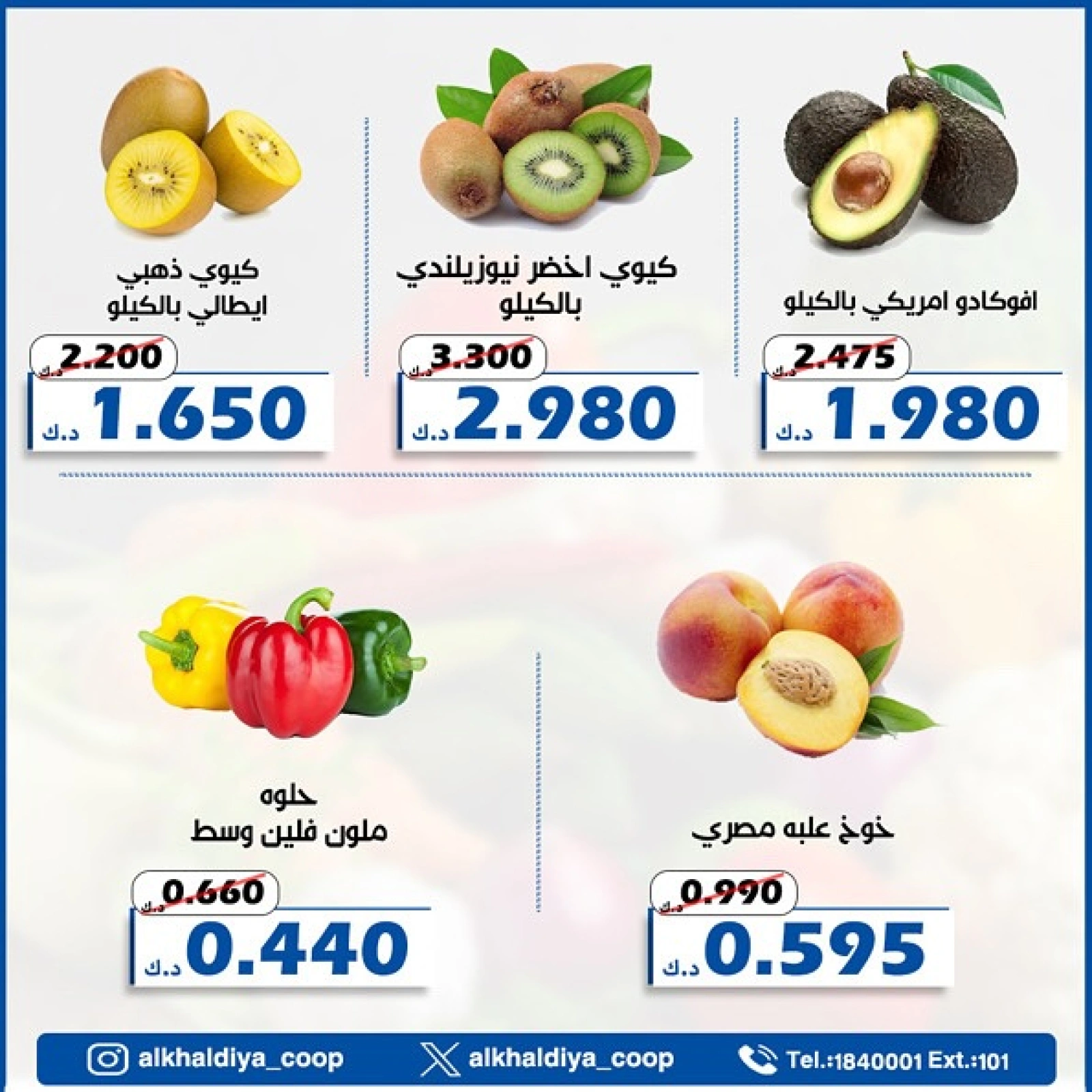 صفحة 11