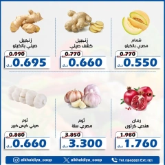صفحة 10