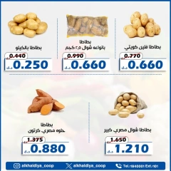 صفحة 7