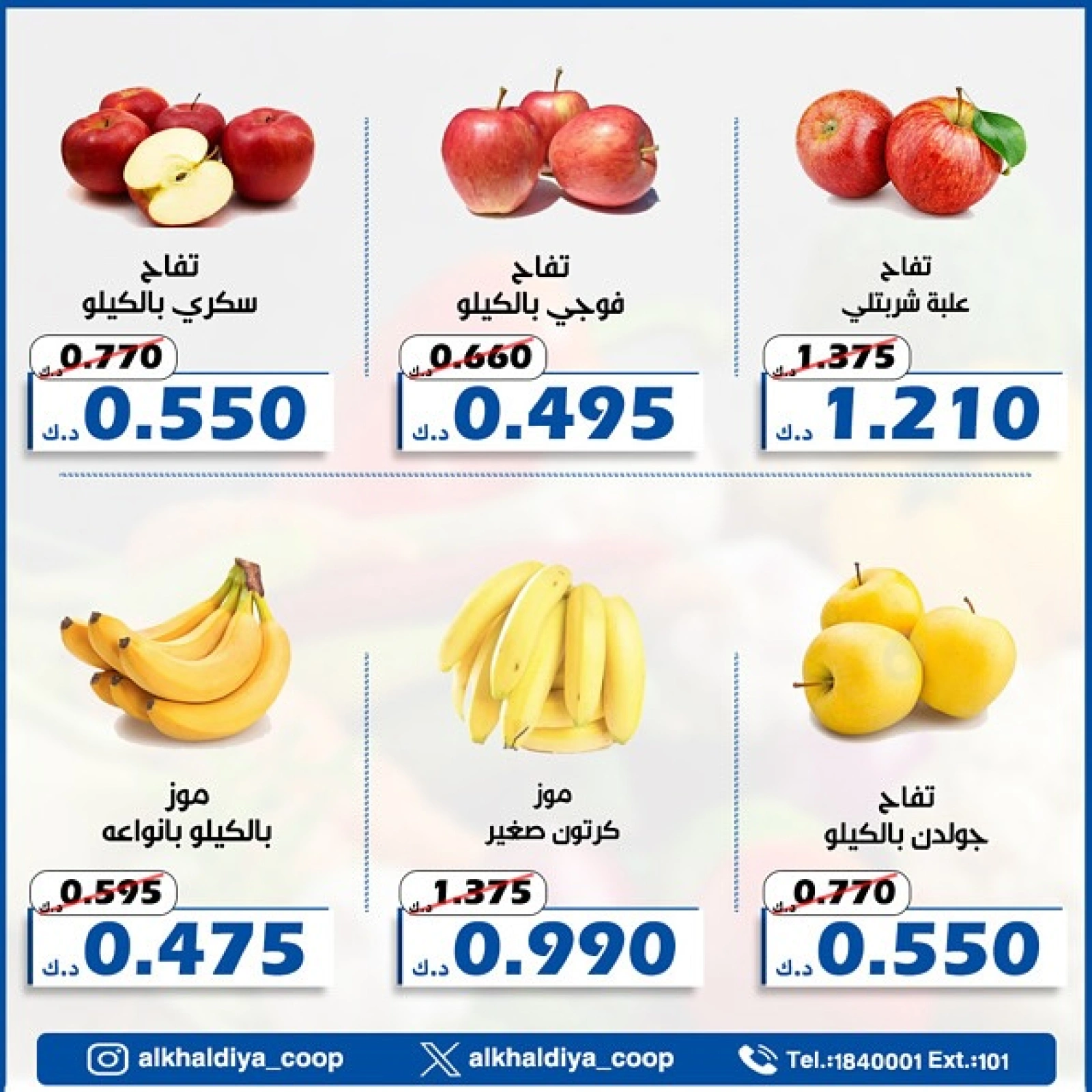 صفحة 5
