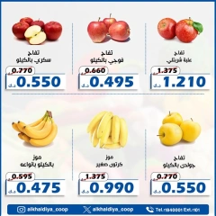 صفحة 5