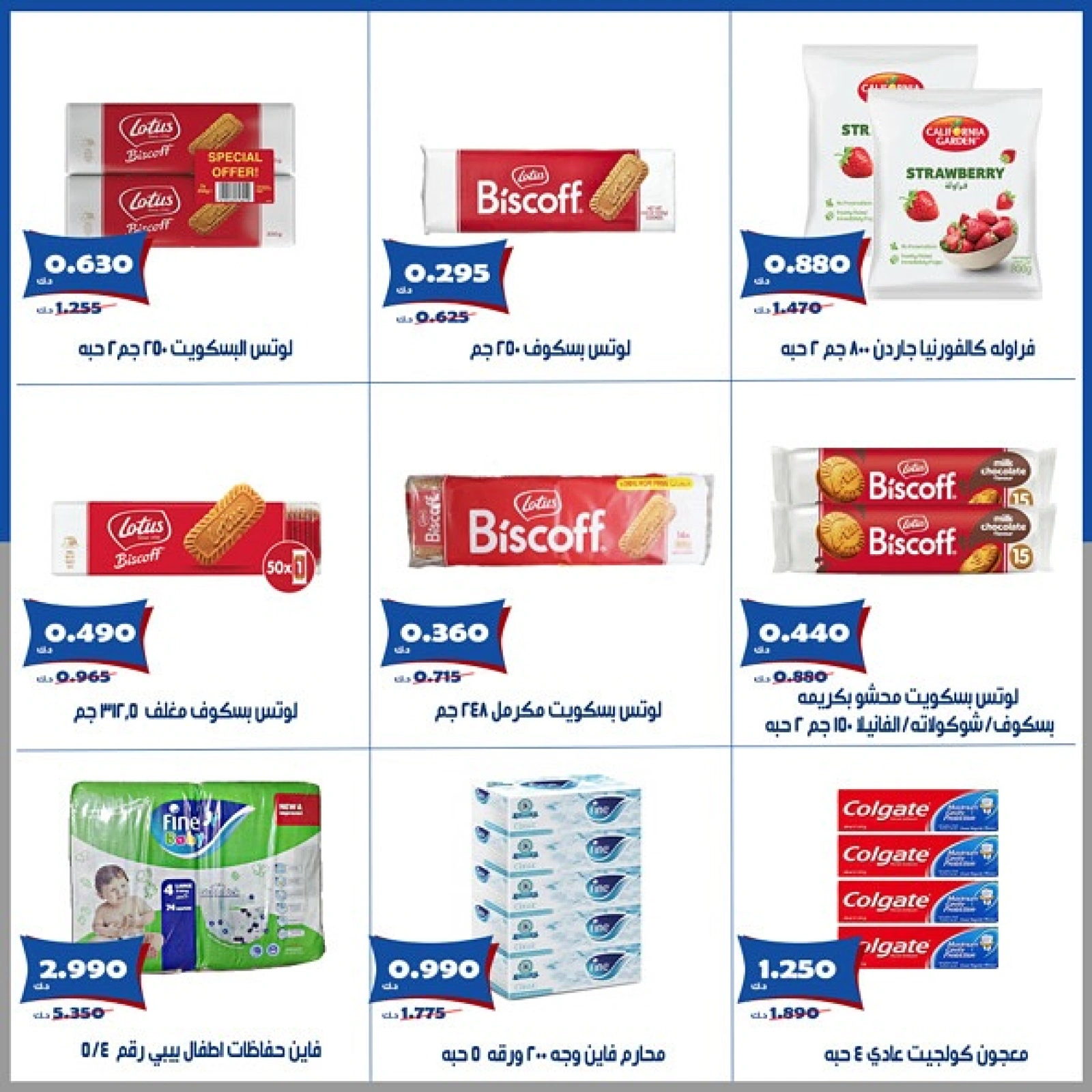 صفحة 5