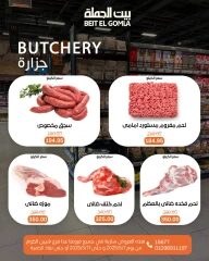 صفحة 7