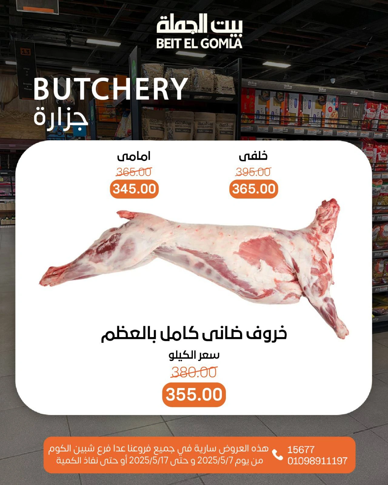 صفحة 5
