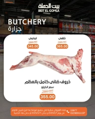 صفحة 5