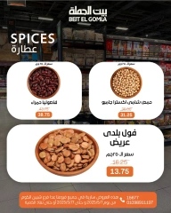 صفحة 12