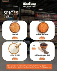 صفحة 11