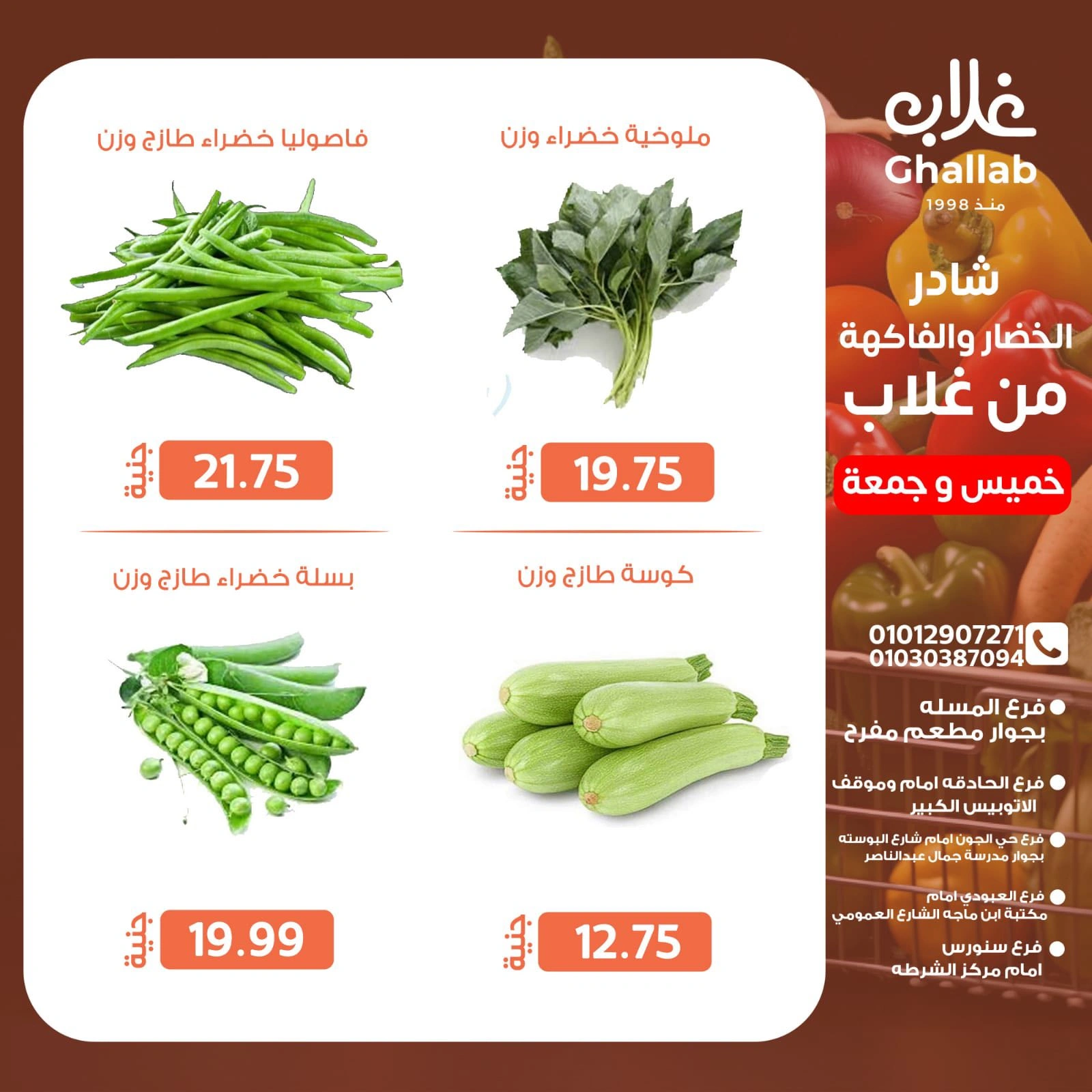 صفحة 12