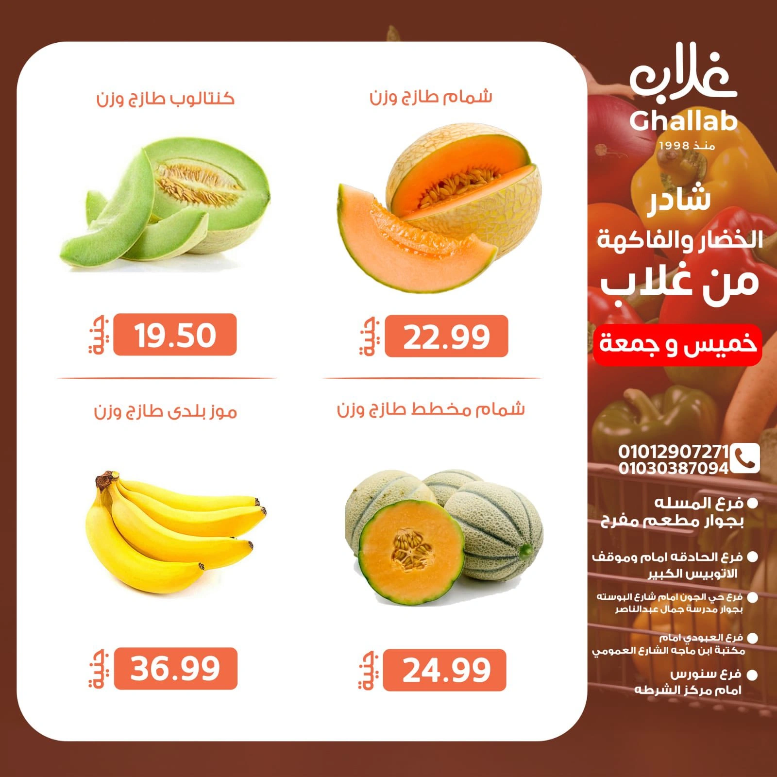 صفحة 6