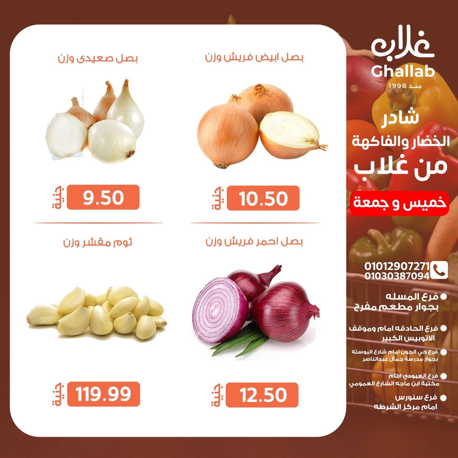 صفحة 5
