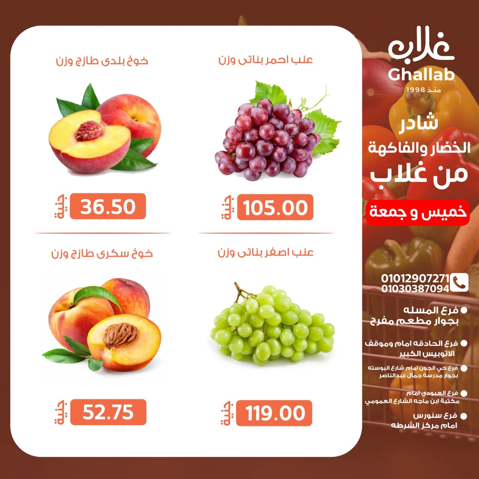 صفحة 10