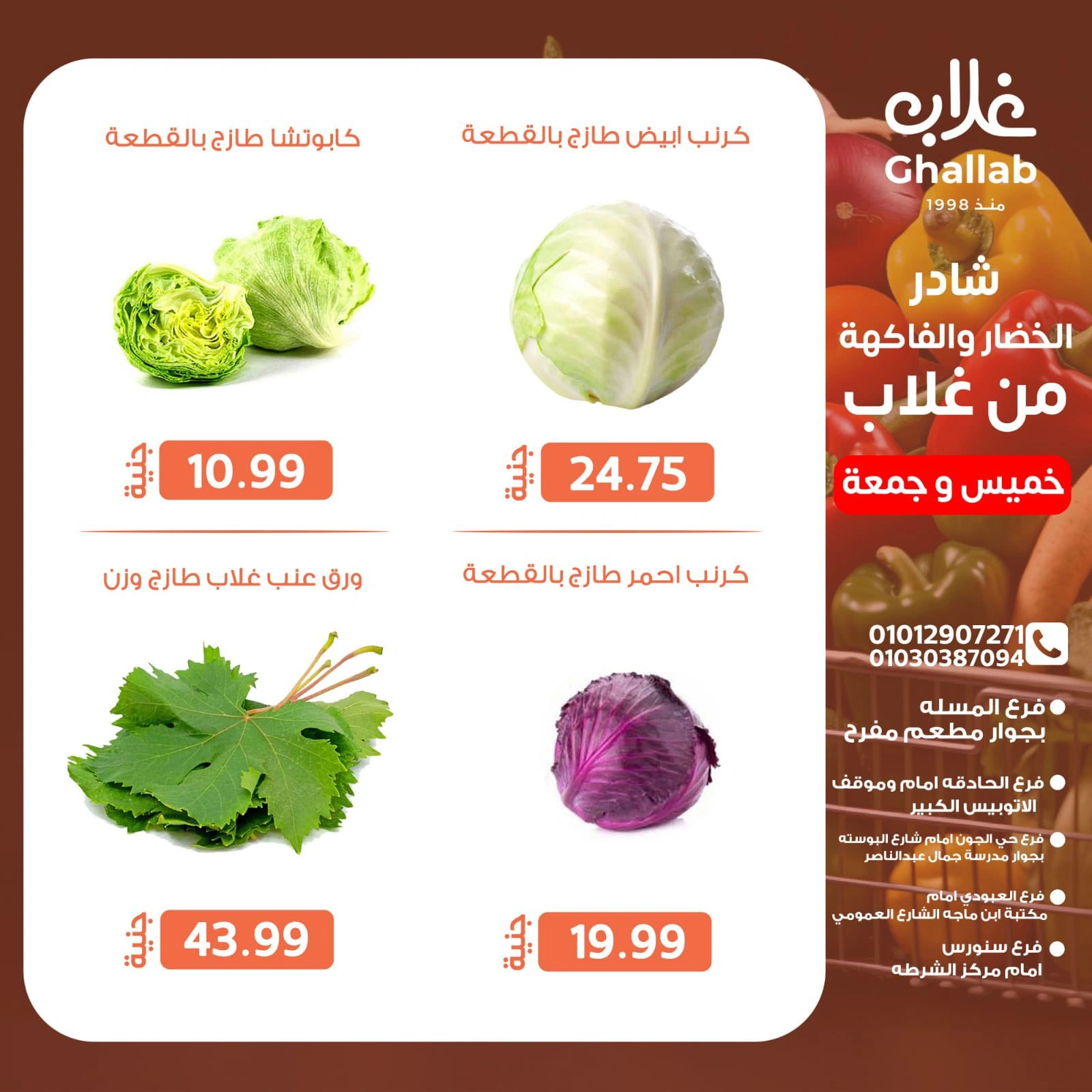 صفحة 11
