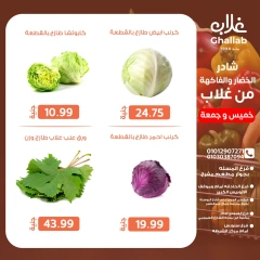 صفحة 11