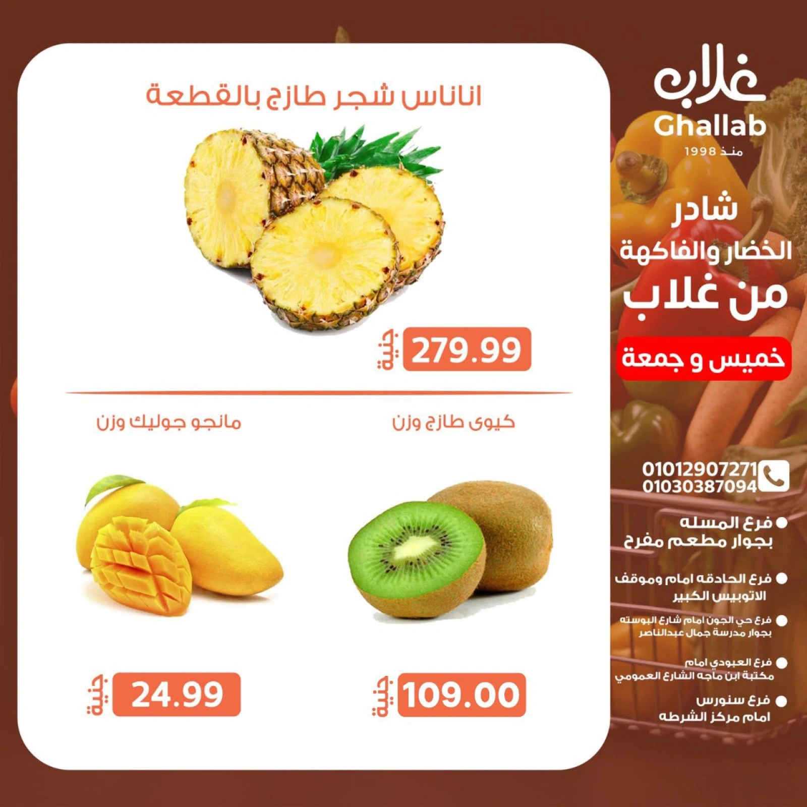 صفحة 3