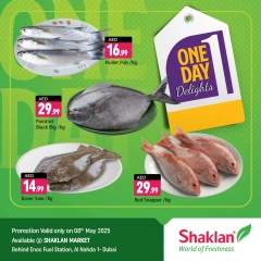 Page 1 |Fish Exclusive Deals at Shaklan UAE