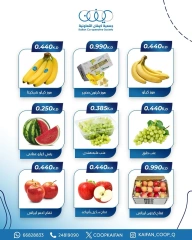 Page 3 in Vegetable offers at Kaifan co-op Kuwait