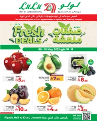 صفحة 1