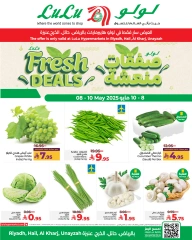 صفحة 2