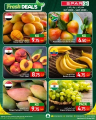 صفحة 21 |صفقات العائلة لدي سبار قطر