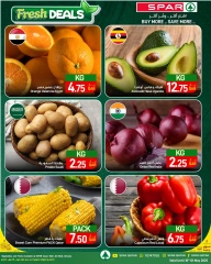 صفحة 20 |صفقات العائلة لدي سبار قطر