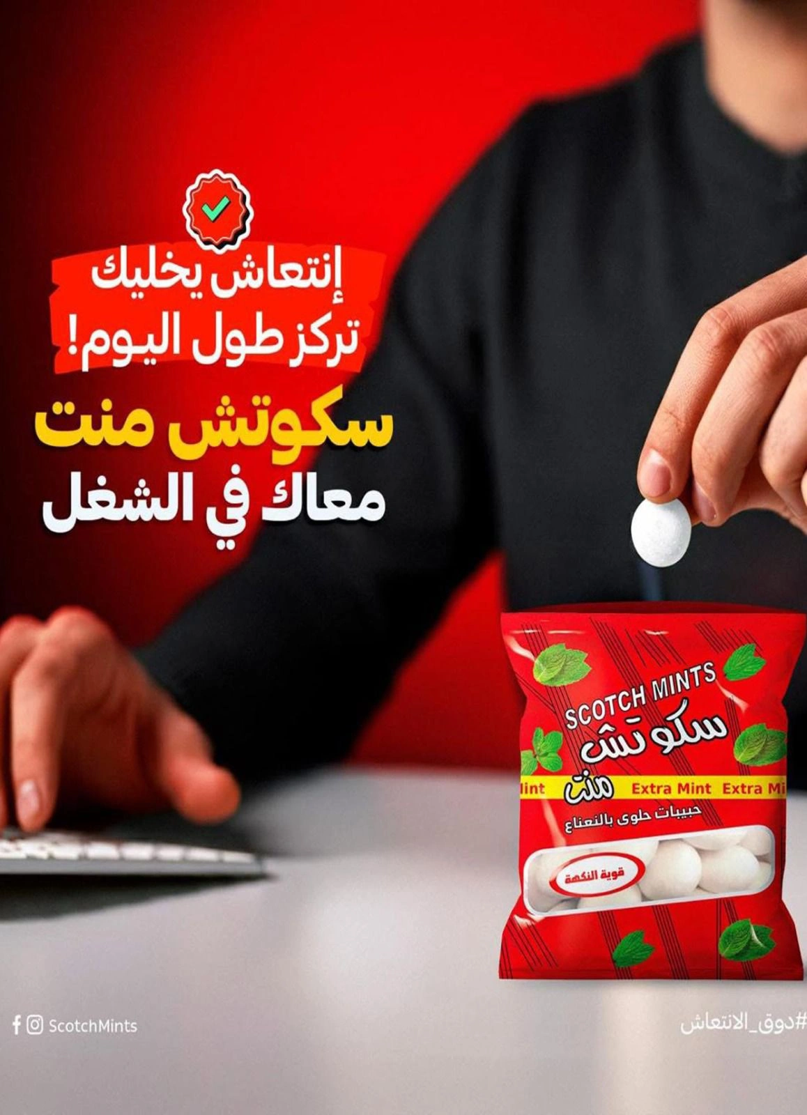 صفحة 9 ضمن عروض الصيف في باسم ماركت مصر