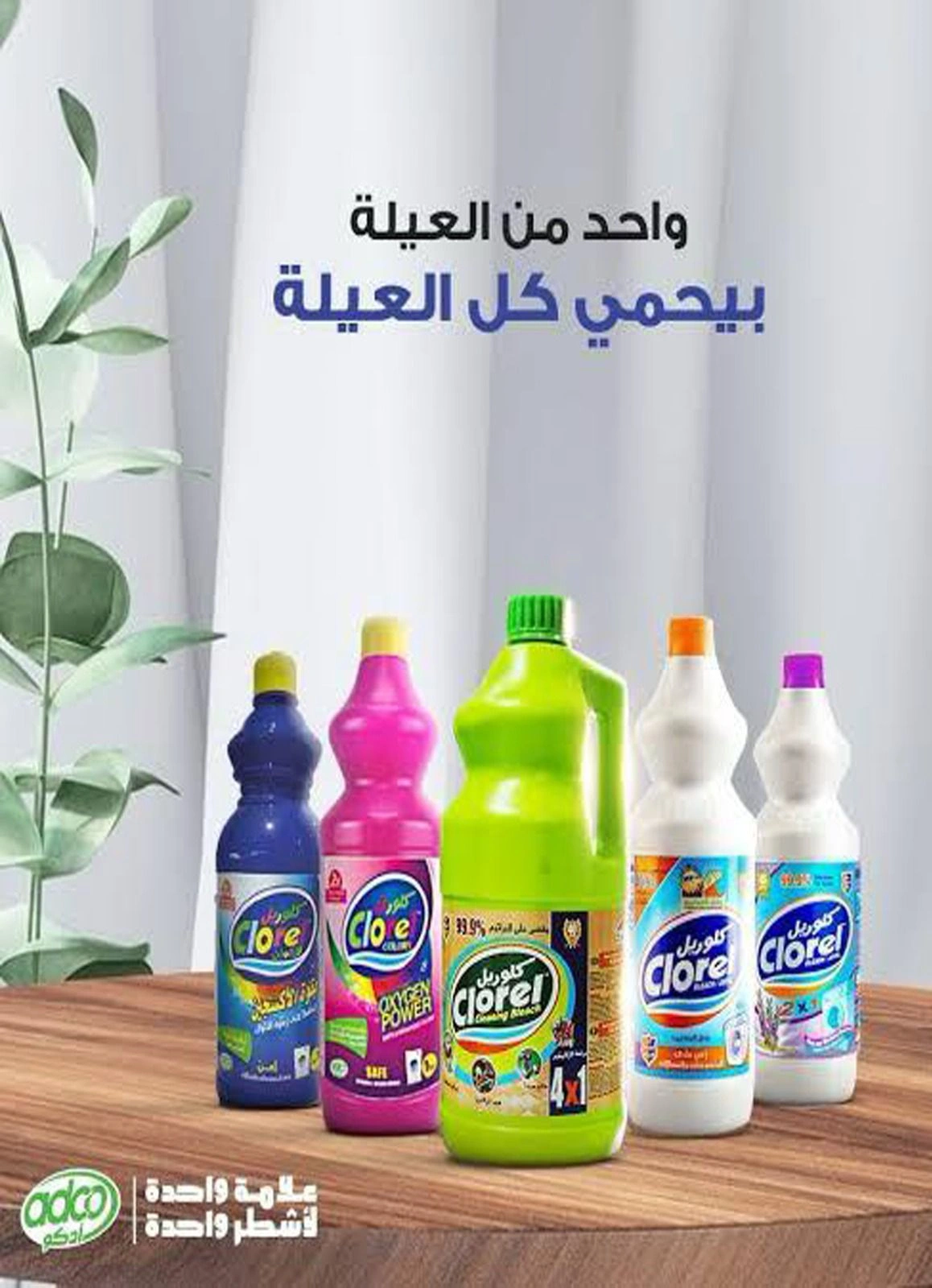 صفحة 77 ضمن عروض الصيف في باسم ماركت مصر
