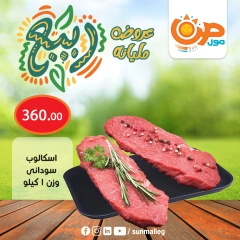 صفحة 6 ضمن عروض الربيع في صن مول مصر