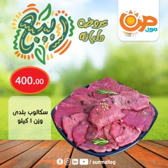 صفحة 2 ضمن عروض الربيع في صن مول مصر