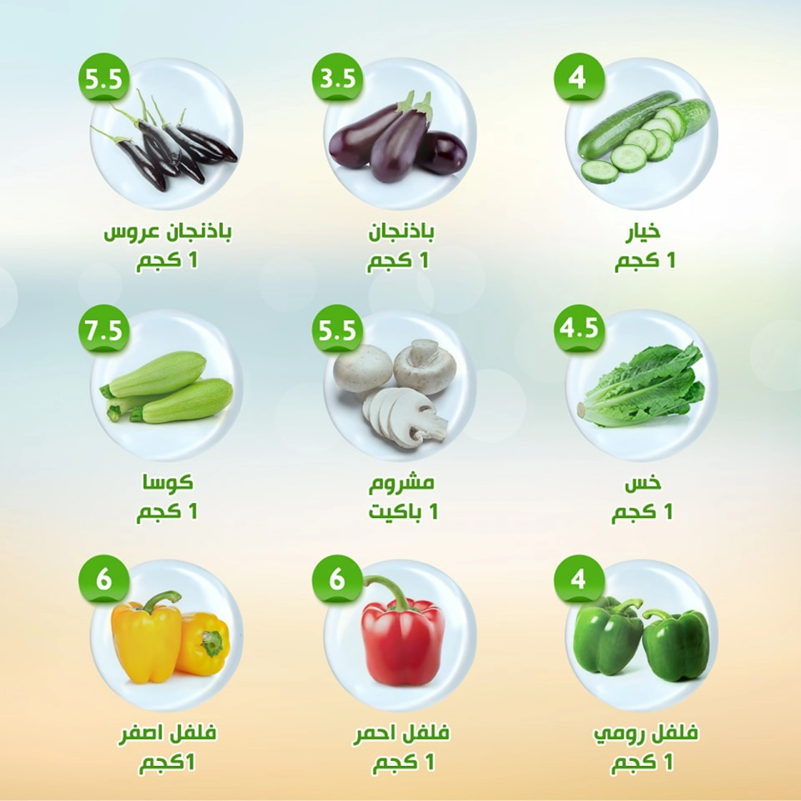 صفحة 10 ضمن العروض الأسبوعية في النهضة المصرية الإمارات