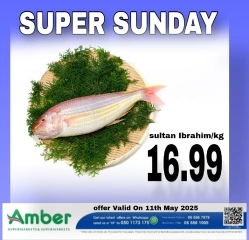 Page 6 in Sunday Specials at Anbar AL Madina UAE