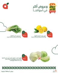 Página 3 en Ofertas del mercado dominical en Panda Arabia Saudita