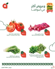 Page 2 dans Offres du marché du dimanche chez Panda Arabie Saoudite