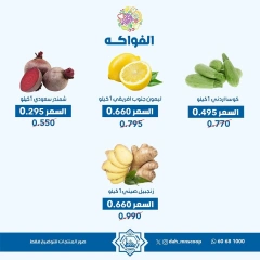 Page 2 dans Offres de légumes chez Coopérative Dah & Mns Koweït