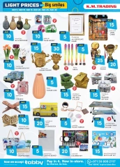 Page 14 in Light Prices - branch Musaffah at Km trading UAE