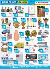 Page 30 in Light Prices at Safa Express UAE