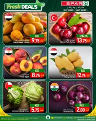 صفحة 1 |صفقات طازجة لدي سبار قطر