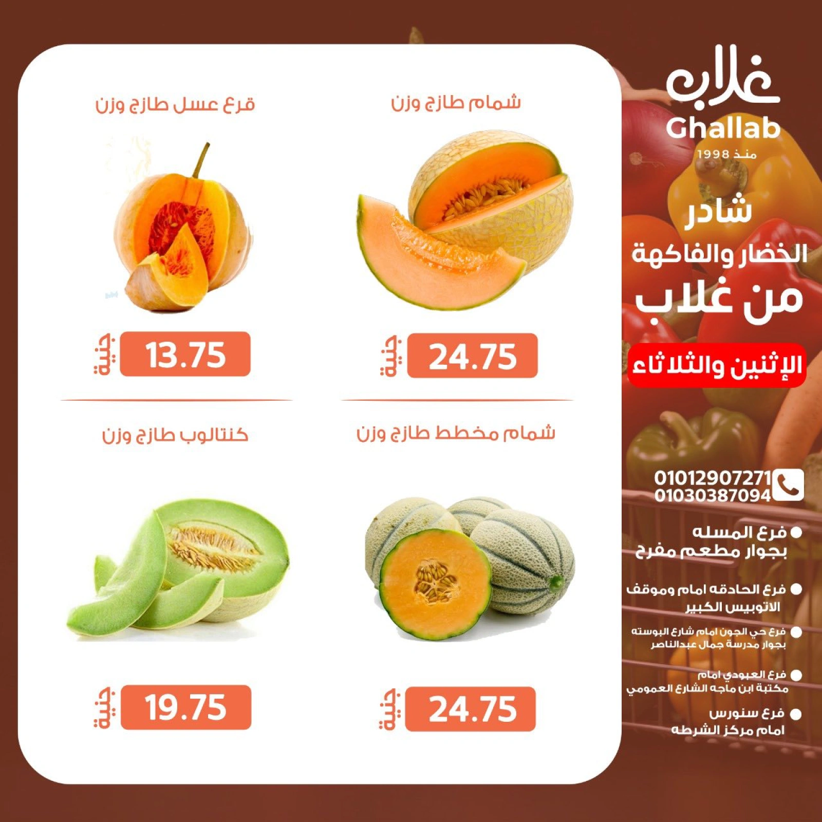 Page 8 dans Fresh deals chez Marchés de Ghallab Egypte