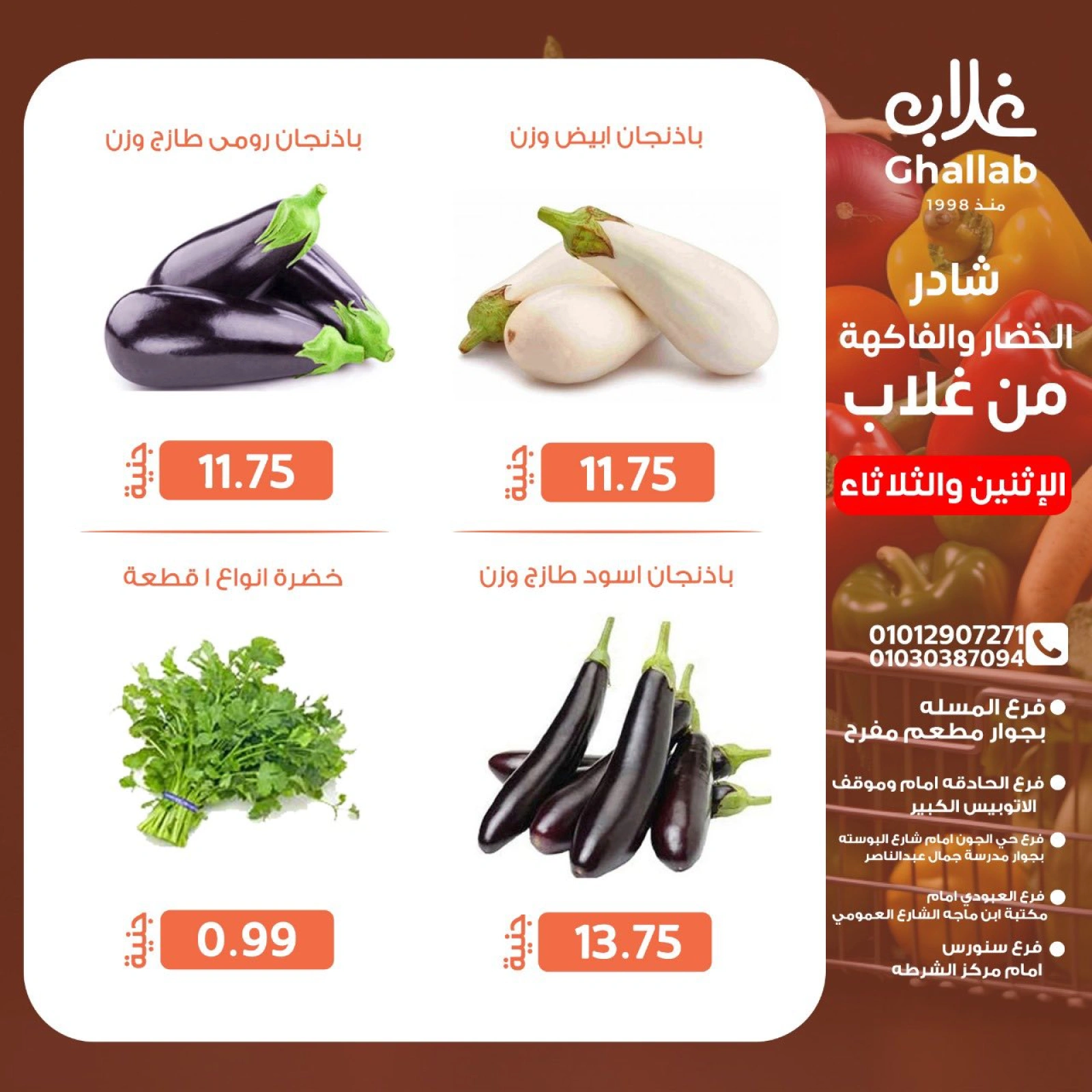 Page 10 dans Fresh deals chez Marchés de Ghallab Egypte