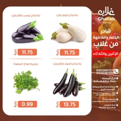 Page 10 dans Fresh deals chez Marchés de Ghallab Egypte