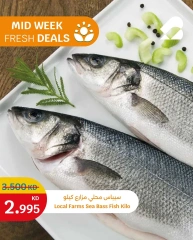 Página 5 en Ofertas frescas en City hiper Kuwait