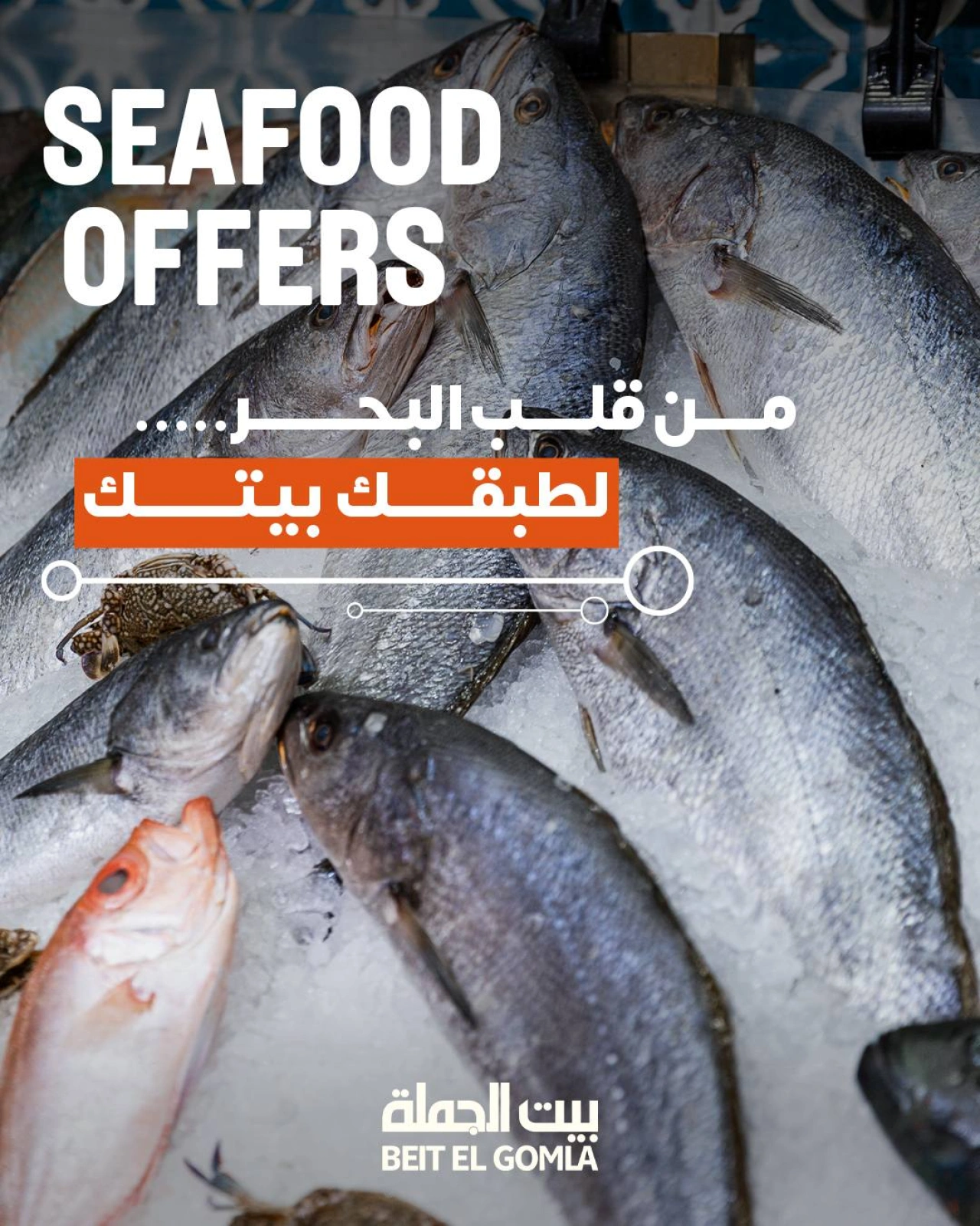 Page 1 in Seafood Deals at Gomla House Egypt