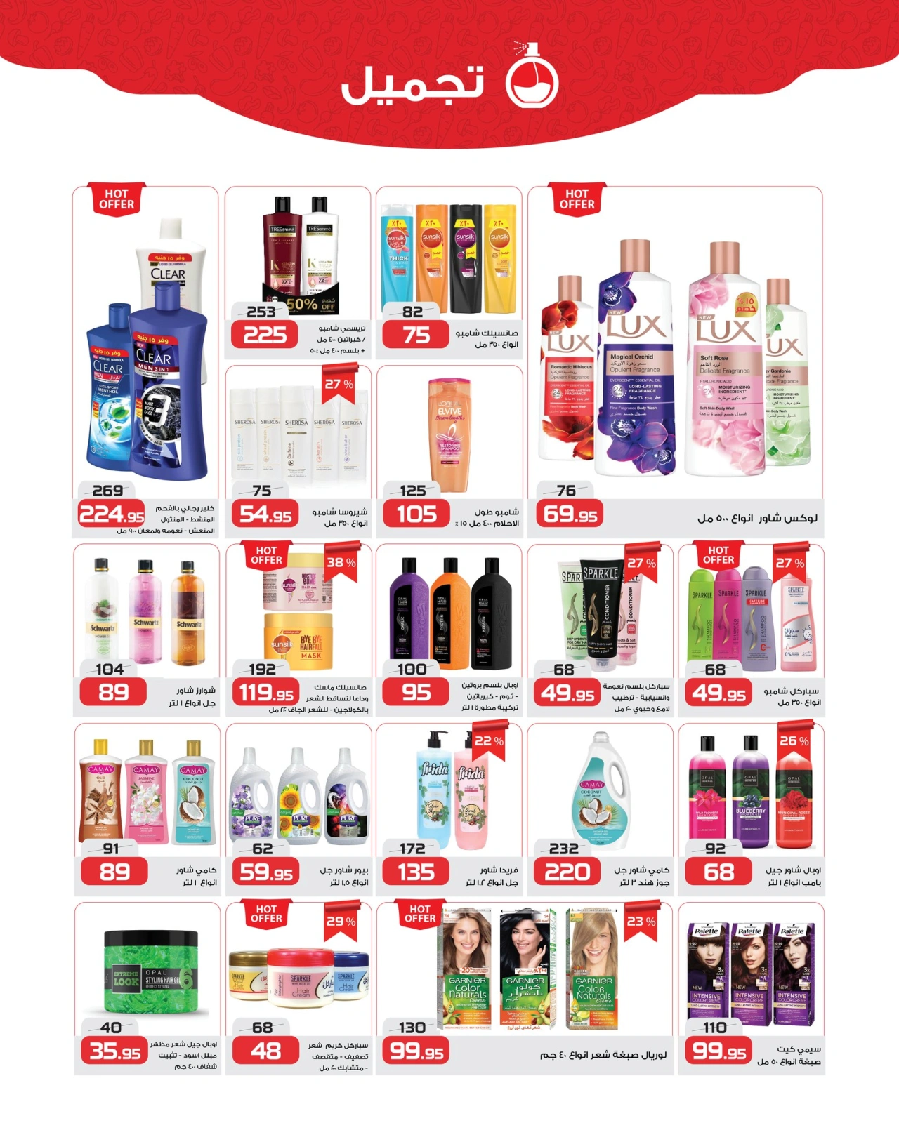 Page 24 in Cleaning offers at Zahran Market Egypt