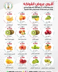 Page 3 |Fresh Deals at Sabahel Nasser co-op Kuwait