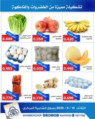 Page 3 |Vegetable and fruit offers at Shamieh coop Kuwait