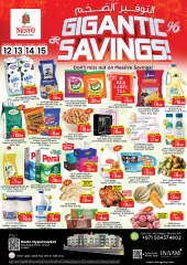 Page 1 in Mega Saver - branch Al Nud at Nesto UAE